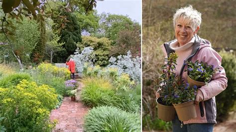 june gardens blog chanel 5|Summer Gardening With Carol Klein .